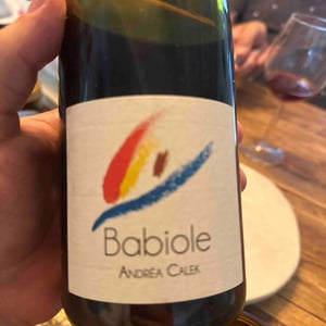 Babiole - Andrea Calek - Andrea Calek & Stephana Nicolescu 