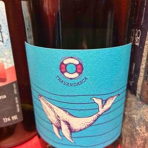 Balena azzurra - Travandasca - Tommaso Turci -2023
