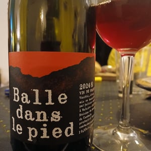 Balle dans le pied Rouge - Domaine Peltier Ravineau - Achille Ravineau & Arthur Peltier -2024