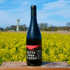 Balle dans le pied Rouge - Domaine Peltier Ravineau - achille-ravineau-arthur-peltier -2024