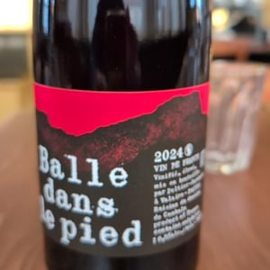 Balle dans le pied Rouge - Domaine Peltier Ravineau - Achille Ravineau & Arthur Peltier -2024