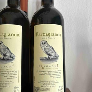 Barbagianna - Azienda Agricola Bragagni Andrea - andrea-bragagni