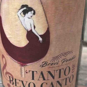 Barbera d’Asti - Brevi Pendii vinchio - vinchio-vaglio -2021