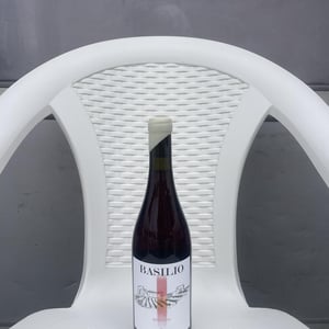 Basilio - Cilento Campania - Ruvindi di Gianfranco Lettieri -2024