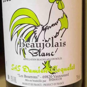 Beaujolais blanc - Damien Coquelet - Damien Coquelet -2022