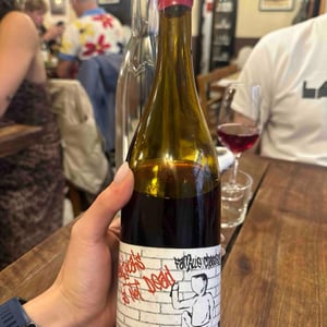Beaujolais Is Not Dead - Domaine Chasselay - claire-fabien-chasselay
