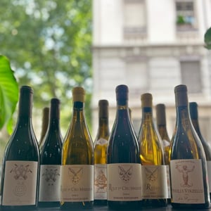 Beaujolais  Pataphysique - Domaine Jules Desjourneys - jules-desjourneys