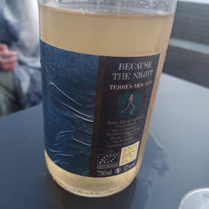 Because the night - Terres Des Nus - bruno-debon
