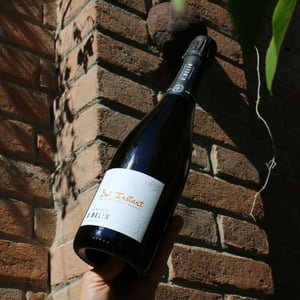 Bel Instant - Champagne O. Belin - olivier-belin -2020