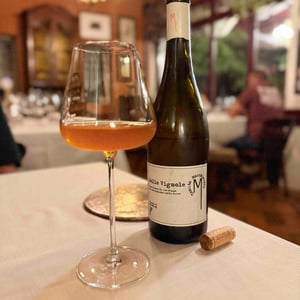 Belle Vignole - Tenuta Macchiarola - domenico-mangione