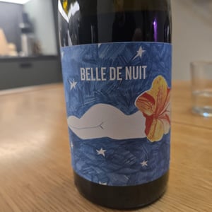 Belles de Nuit - Mille et Une Nuits - leila-pailhes-marc-gauthier