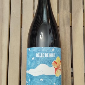 Belles de Nuit - Mille et Une Nuits - leila-pailhes-marc-gauthier