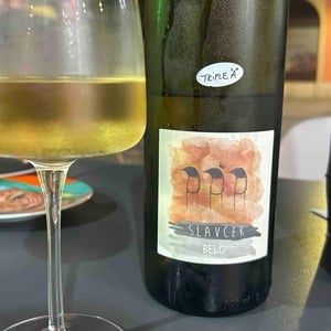 Belo - Slavček - Franc Vodopivec 