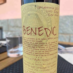 Benedic - Monastero Trappiste Vitorchiano - Suor Adriana & Giampiero Bea 