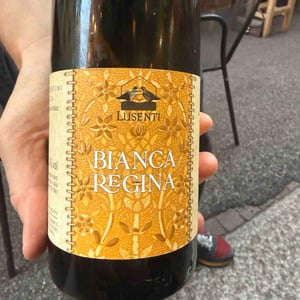 Bianca Regina - Azienda Agricola Lusenti - lodovica-lusenti
