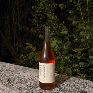 Bianco D'Alessano - Vini Petracavallo - Vito D'Onghia 