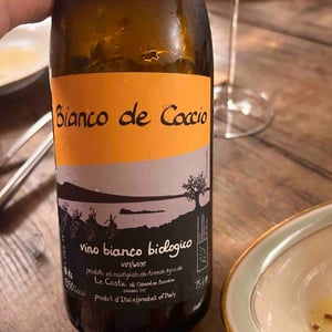 Bianco De Caccio - Le Coste - clementine-bouveron-gianmarco-antonuzi