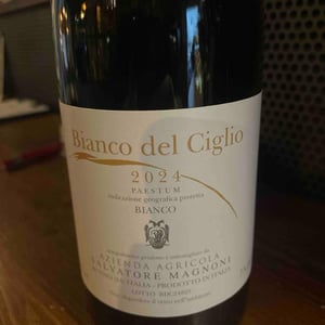 Bianco del Ciglio - Azienda Agricola Salvatore Magnoni - Salvatore Magnoni -2024