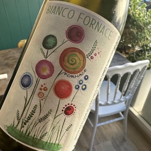 Bianco Fornace - Cascina Fornace - Enrico Cauda -2024