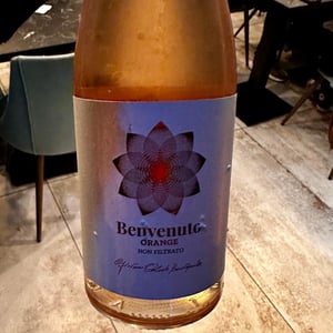 Bianco Macerato - Cantine Benvenuto - Benvenuto -2024