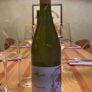 Bianco Mai - Meggiolaro Vini - cristiana-meggiolaro-riccardo-roncolato