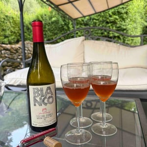 Bianco - Azienda Agricola Fonterenza - Margherita & Francesca Padovani -2019