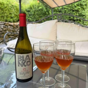 Bianco - Azienda Agricola Fonterenza - Margherita & Francesca Padovani -2019