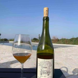 Bianco Pic Nic - Azienda Agricola Ajola - Jacopo Battista 