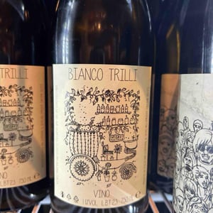 Bianco Trilli - Gazzetta Wines - patricia-nelson