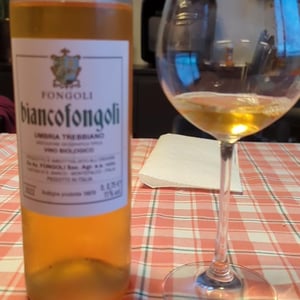 Biancofongoli - Fongoli - Angelo Fongoli 