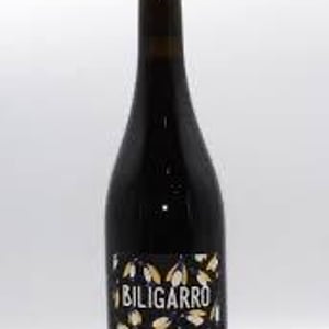 Biligaro - Fontaine Des Grives / Château Richard - leila-lare-benoit-perisse -2021