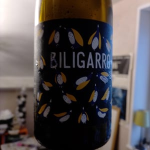 Biligaro - Fontaine Des Grives / Château Richard - leila-lare-benoit-perisse -2021