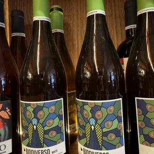 Biodiverso White - Altolandon - Rosalía Molina -2020