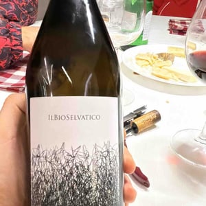 Bioselvatico Sangiovese - Bioselvatico di Filippo Volpi - filippo-volpi -2019