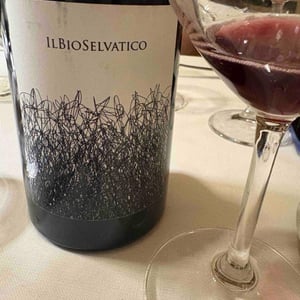 Bioselvatico Sangiovese - Bioselvatico di Filippo Volpi - Filippo Volpi -2019