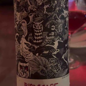 Birdscape - Christian Tschida - Christian Tschida 