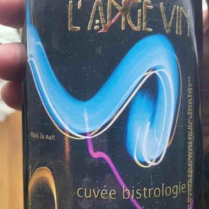 Bistrologie - Les Vignes de l'Angevin - Jean-Pierre Robinot 