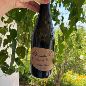 Blanc de Blancs - Azienda Agricola Alessandro Viola - alessandro-viola
