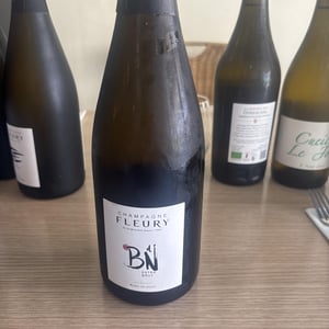Blanc de Noir Brut Fleury Champagne - Champagne Fleury - morgane-jean-sebastien-benoit-fleury