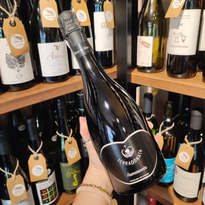 Blanc de Noir - Az Agr. Terra Donata - Vezzoli Maurizio -2024