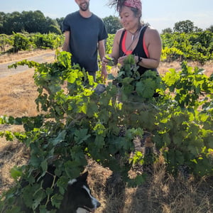 Blanc de noirs - Clos Kixhaya - Beatriz Leblanc-Papamija 