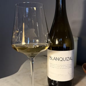 Blanquizal - Miguel Castro - Miguel Castro -2023