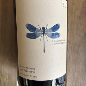 Blaue Libelle - Sauvignon Blanc - Weingut Andreas & Elisabeth Tscheppe - Andreas & Elisabeth Tscheppe 