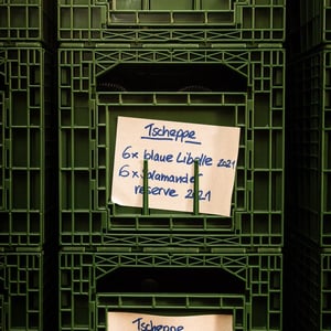 Blaue Libelle - Sauvignon Blanc - Weingut Andreas & Elisabeth Tscheppe - andreas-elisabeth-tscheppe