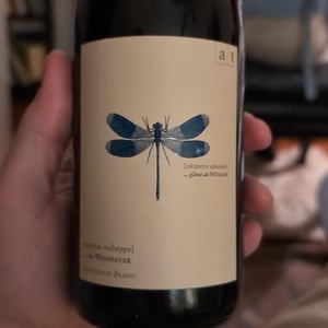 Blaue Libelle - Sauvignon Blanc - Weingut Andreas & Elisabeth Tscheppe - andreas-elisabeth-tscheppe