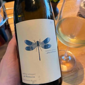 Blaue Libelle - Sauvignon Blanc - Weingut Andreas & Elisabeth Tscheppe - andreas-elisabeth-tscheppe