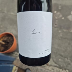 Blaufränkisch Kalkstein - Weingut Claus Preisinger - claus-preisinger