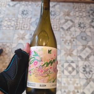 Bloom X Rémi Pouizin - Vin des Potes - basile-passe