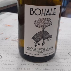 Bohale - Domaine de la Tourlaudière - Romain Petiteau 