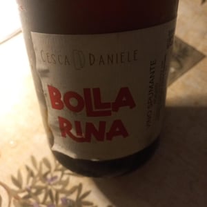 Bolla rina - Cesca Daniele - daniele-cesca -2023